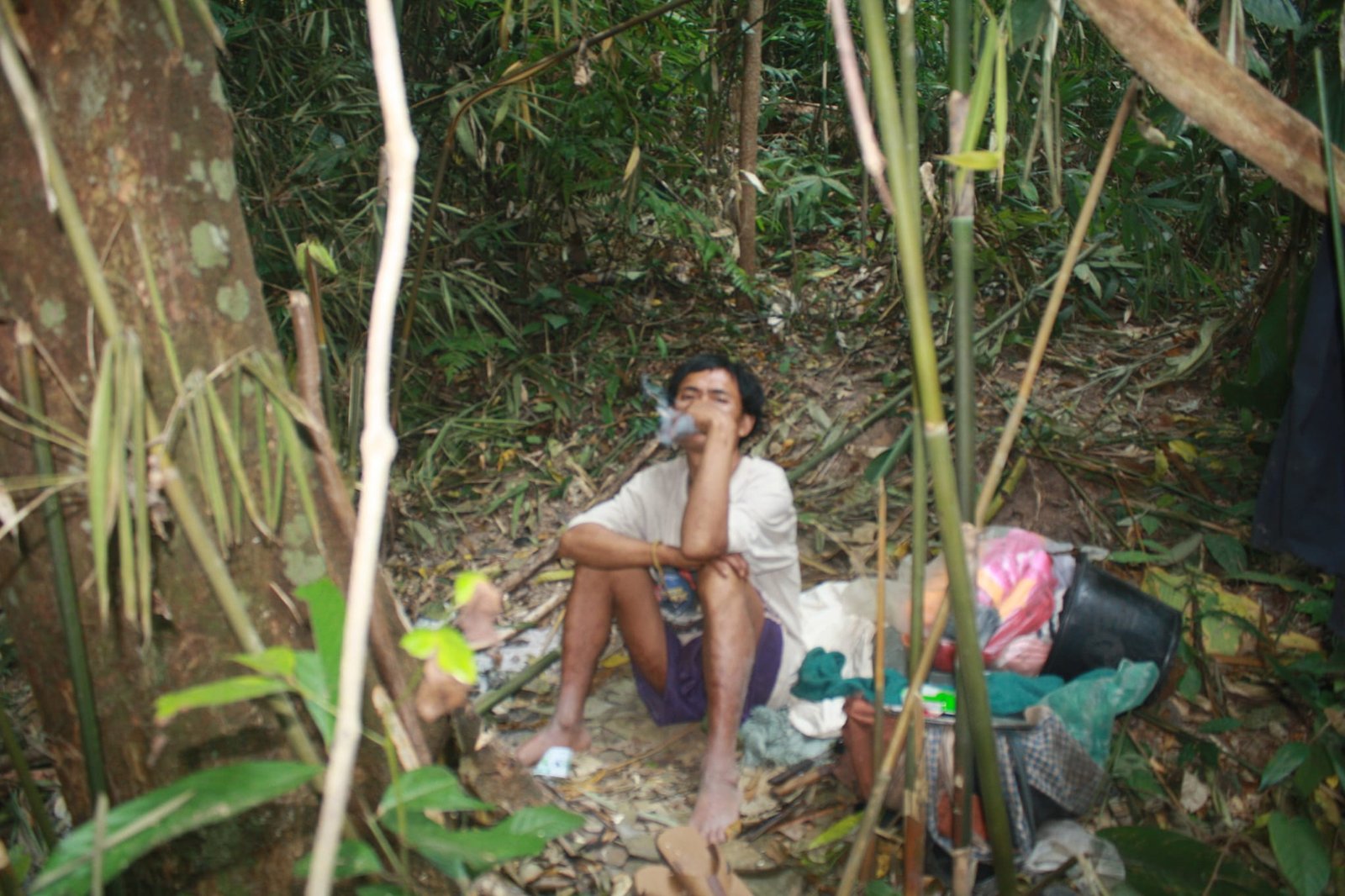 2 Days Trekking To Tribal villages of Phounoi and Akha Oma